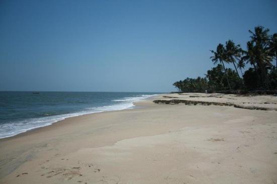 Fool'S Paradise Homestay Alappuzha Экстерьер фото